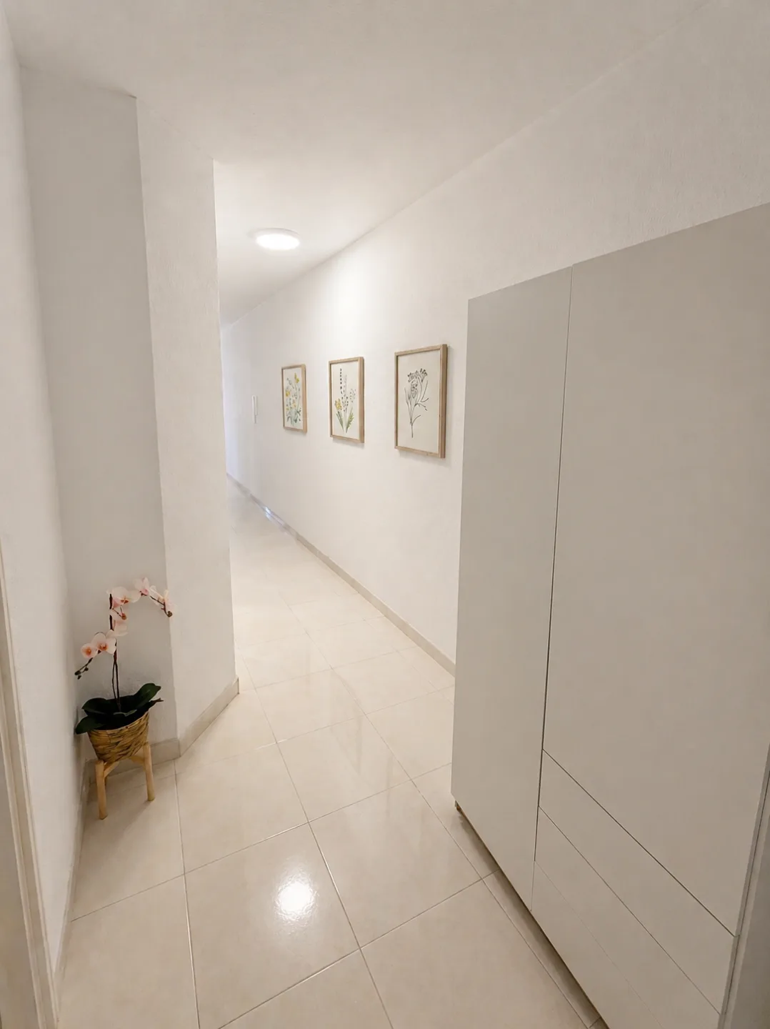 Galería